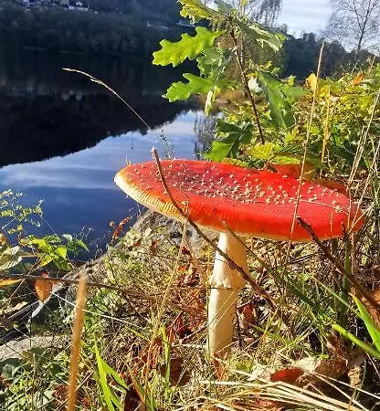 Utsikten Vandrerhjem